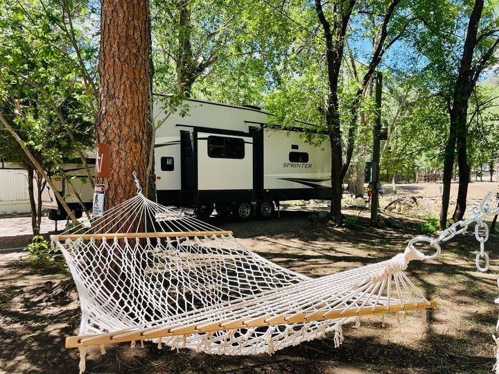 A hammock strung between pines beside a travel trailer at the park