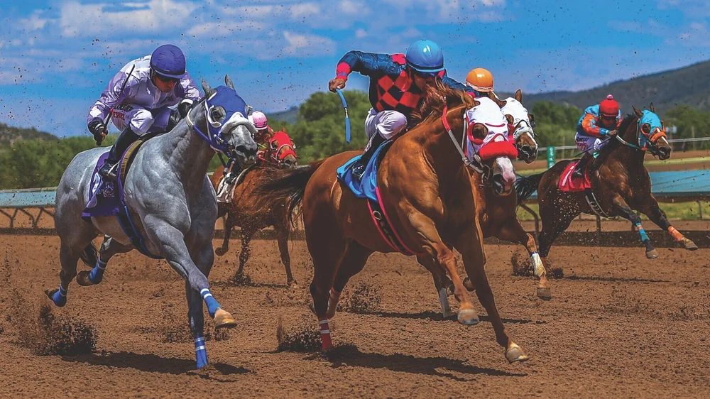 Quarter horses rounding the turn at Ruidoso Downs